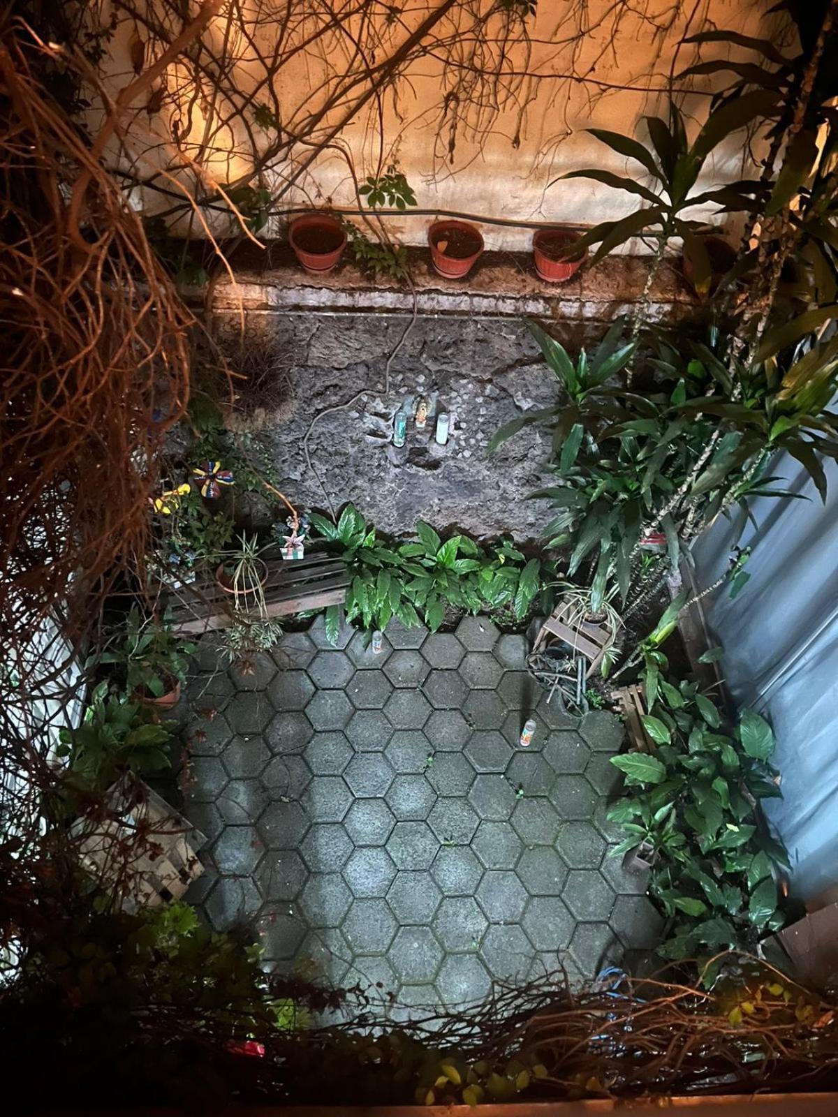 Las Rosas Mexico City Exterior photo
